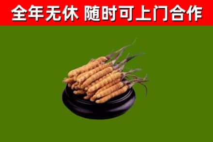 临武县烟酒回收冬虫夏草.jpg